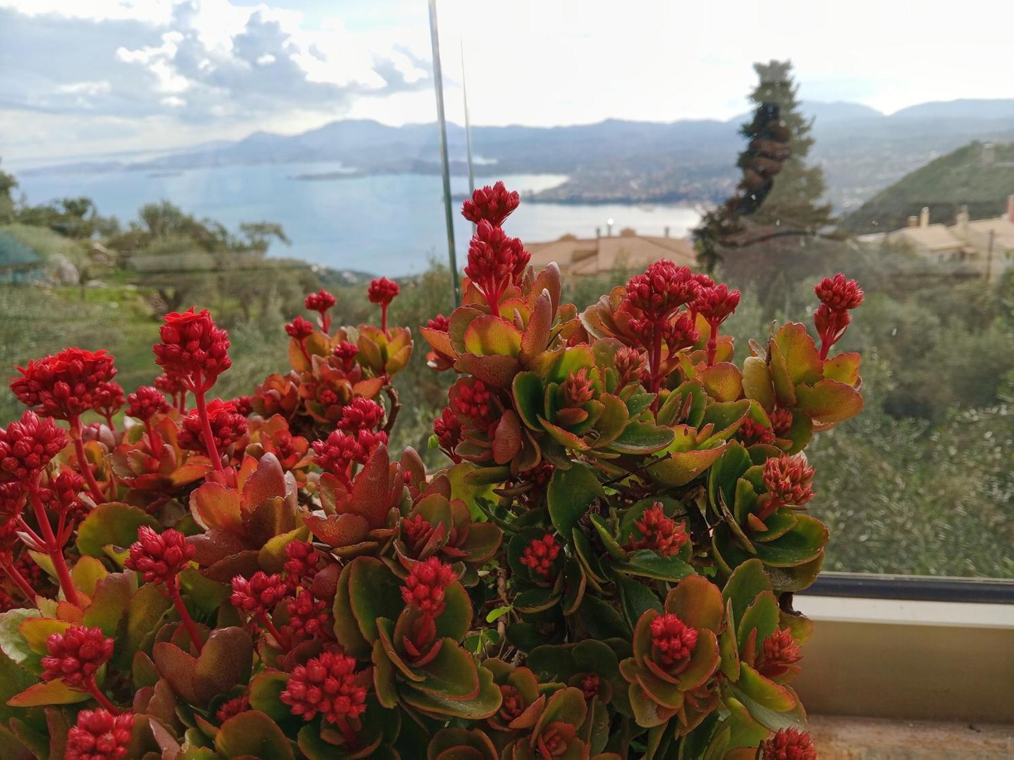 Rizaria Sea View House Βίλα Σπαρτύλας Εξωτερικό φωτογραφία